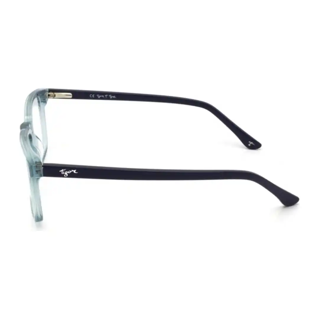 Óculos de grau Masculino Quadrado Tigor T Tigre Verde