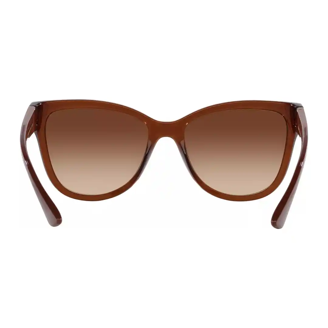Óculos de sol Feminino Borboleta Tecnol Marrom